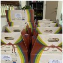 대건재가복지센터 | 전주재가복지 부모님의 쉼터, 전주의 버드나무재가복지센터 후기