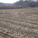 동막동(3) 이미지