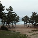 월송정月松亭 이미지