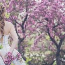 부산온누리행정사무소 이미지