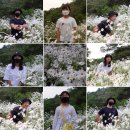 구절초막걸리펜션