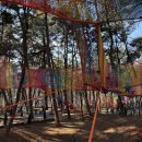 금호숲속어린이집 이미지