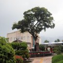 덕문중학교 이미지