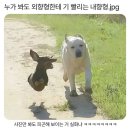 곁에 둔다