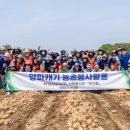 남양금속노동조합 이미지