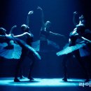 춤과 춤으로 만나다 이미지