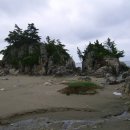 삼척바다엔