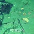 슈퍼맘케어 이미지