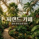 백곡리마을 | 씨랜드 카페 화성 야자수 마을 논란과 참사 부지의 진실