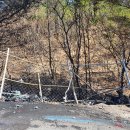 고성군 원암리 미시령옛길에서 차량화재로 산불 발생 (2022년 4월 10일) 이미지