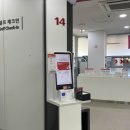 롯데렌터카 | 제주 여행 렌터카 추천_ 제주렌트카 본사 vs 롯데렌터카 비교 후기