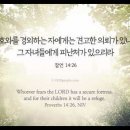 오늘의 '영어성경 사진'(861강) “여호와를 경외하는 자들의 축복”(잠언 14장 26절) 이미지
