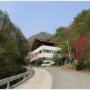 시원하고 편한 구구산장 단양숙소