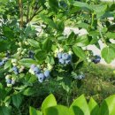 서산황금알공인중개사사무소 이미지