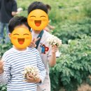 쌍류포도정원협동조합 이미지