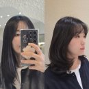 광주 남구 주월동 미용실 추천 아르안헤어 중단발 매직 셋팅C컬펌 후기