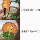 안녕하새우 이미지