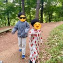 장수한의원 | 경옥고와 공진단 차이, 가격만 비교? OO도 꼭 상담하세요/ 성동구 한의원