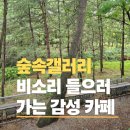 그늘인테리어디자인 | 하남 대형 카페 숲속 복합문화공간 하남 '미사장' 내돈내산 방문 후기 주차 갤러리 노키즈존 정보
