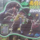 2026년6월13일장성축령산 편백나무숲길 이미지
