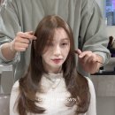 에이그로우 이미지