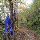 추억의 청춘 하모니카(목)9:30 | 2308-한밤의 사진편지 제2308호(한사모 2015 가을철 걷기행사를 마치고 '15/10/30/금)