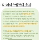 가나인력종합개발