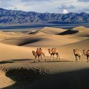 몽골 여행. 알고 가면 좋은 8가지 이미지