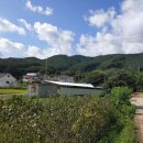 고동영행정사 사무소 이미지