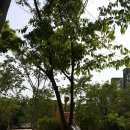 황방공원 이미지