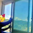 부성2농장 | 방충망 부성, 사계절 내내 필요한 이유: 겨울에도 방충망은 필수!