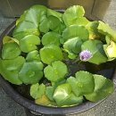 선농발효(주) 이미지