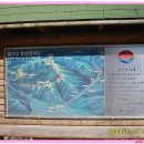 경북(영덕군)호젓한 오지산행 팔각산에 대한 산행정보 이미지