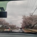 Hello 라온 이미지