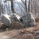 수철농장 이미지