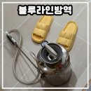 가정집 | [블루라인방역] 방역 대기업 10년 경력으로 창원 가정집 방역 후기