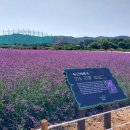 선호농원