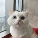 마린파크 동물병원 이미지
