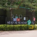 메타세쿼이아길 공중화장실 이미지