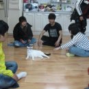인천 DH 모터스+월미도 디스코팡팡+신월동 대박집 후기
