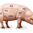 치악산포크 이미지