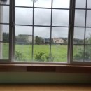 제주키즈풀빌라 나무와 아이 이미지