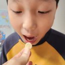 맛있게 먹을수있는 키즈 어린이 루테인 츄어블 아이아이 초등아이들 섭취 후기