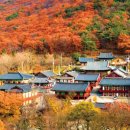 지정20 이미지