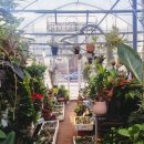 에덴꽃화원 이미지