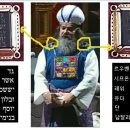 청색자색 이미지