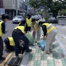 토월천 | 도심 속 작은 구멍, 홍수를 막는 힘🌧 창원시청년봉사단 정기봉사 후기