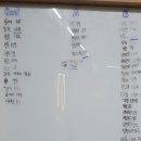 덤스 이미지