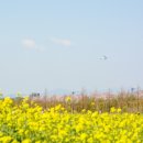 대저생태공원 이미지