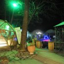 민들레울 이미지